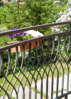 /album/fenykepgaleria/kep-450-jpg/